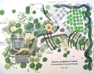 mason audubon center websize