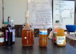 From Juice to Vinegar - websize