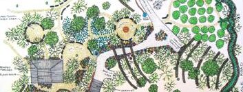 Sonoran Permaculture